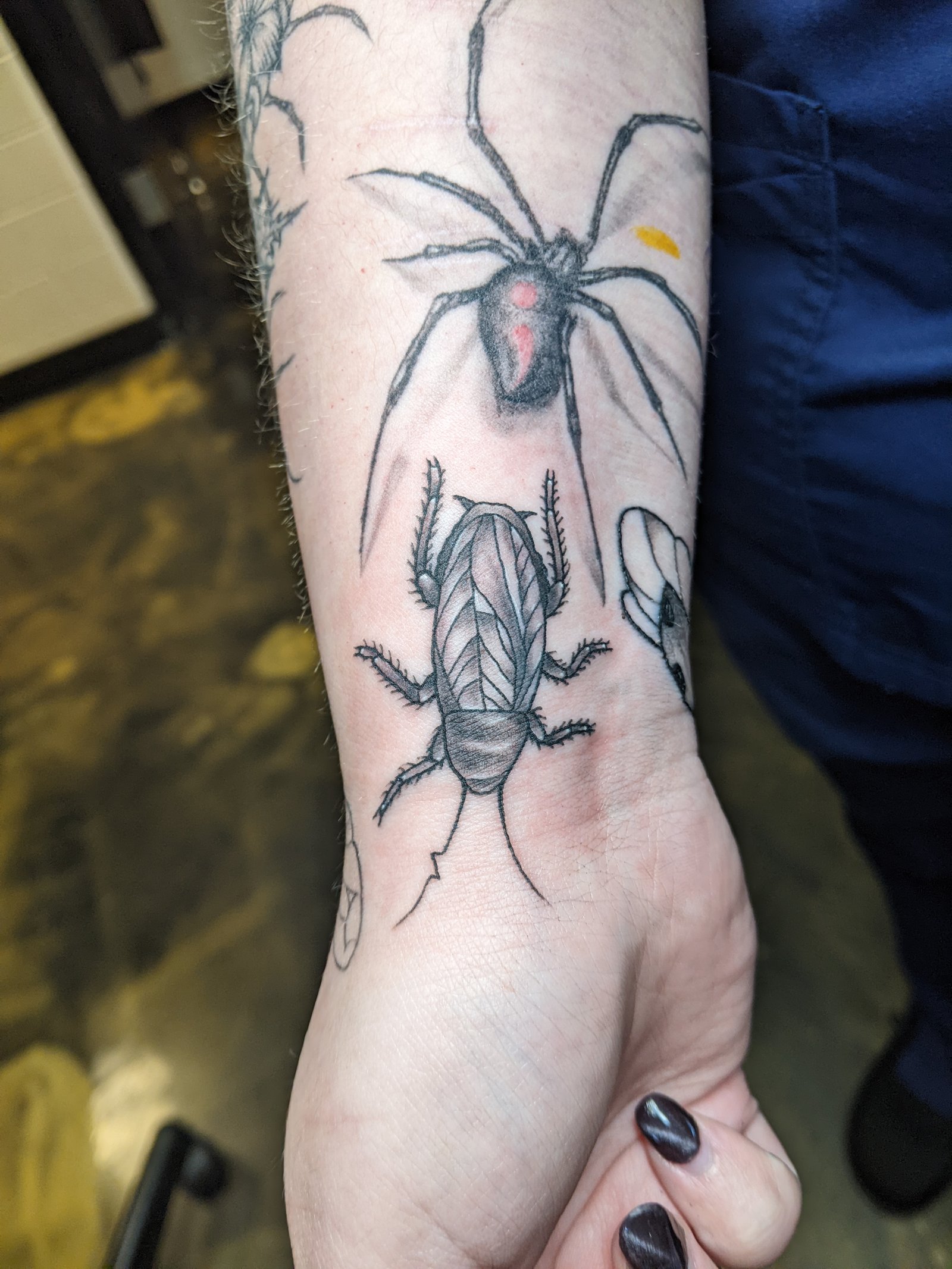 PXL 20240516 195134711