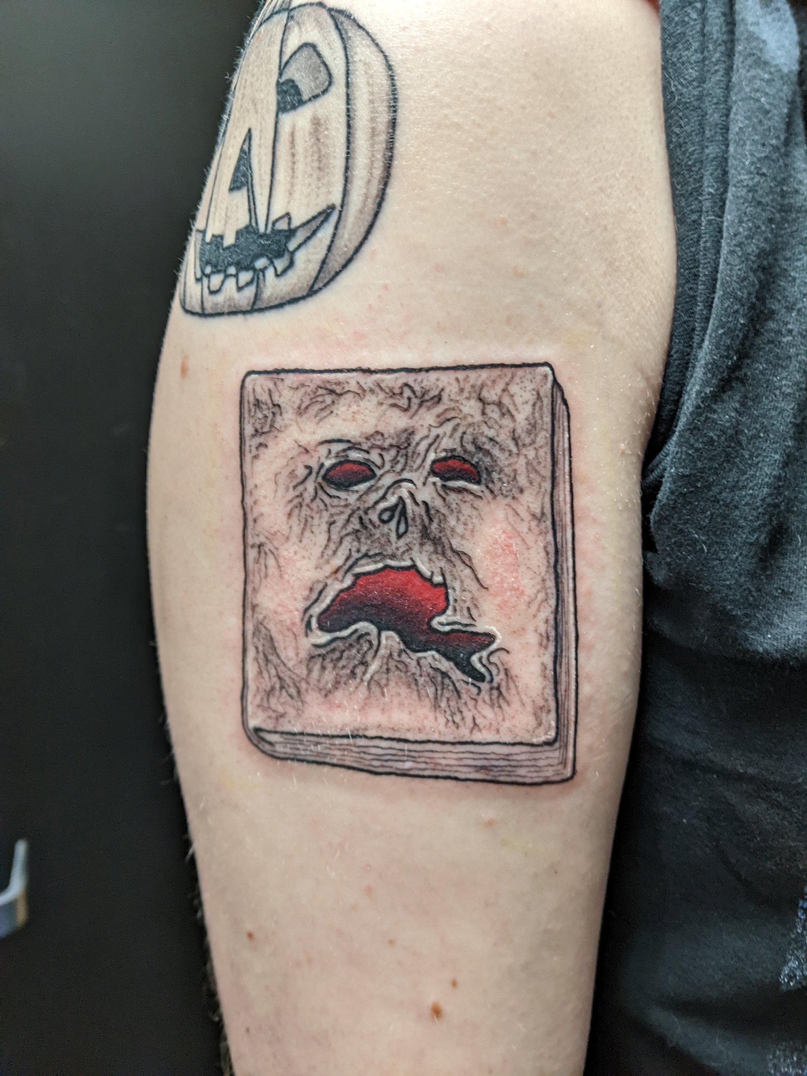 PXL 20241120 013038050